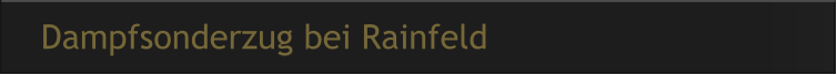Dampfsonderzug bei Rainfeld