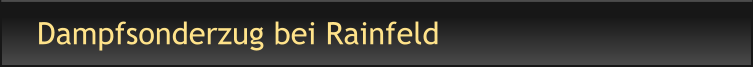 Dampfsonderzug bei Rainfeld